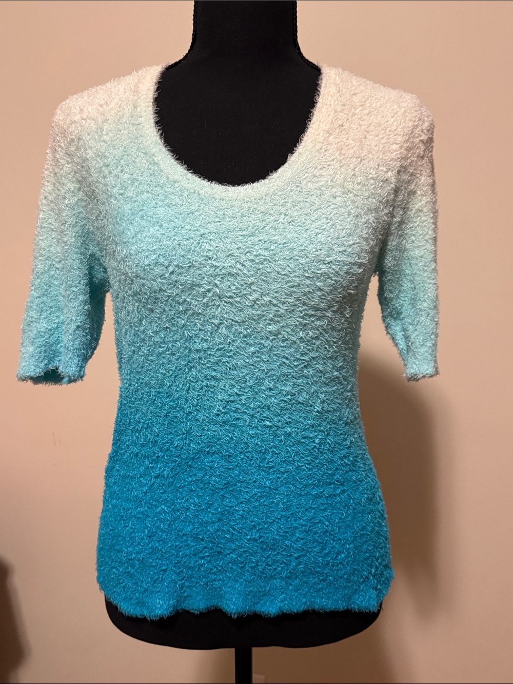 Cache Ombre Aqua to White Fuzzy Short-Sleeve Sweater